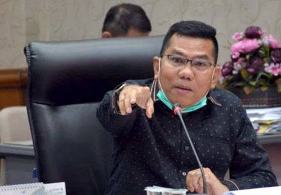 Sekretaris Komisi II DPRD Riau, Husaimi Hamidi (foto/int)